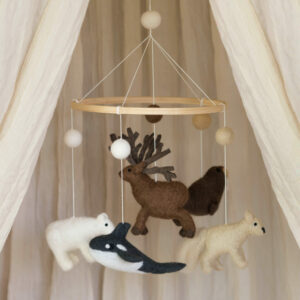 Antartica Mobile   Baby Bello   Ambiance (1)